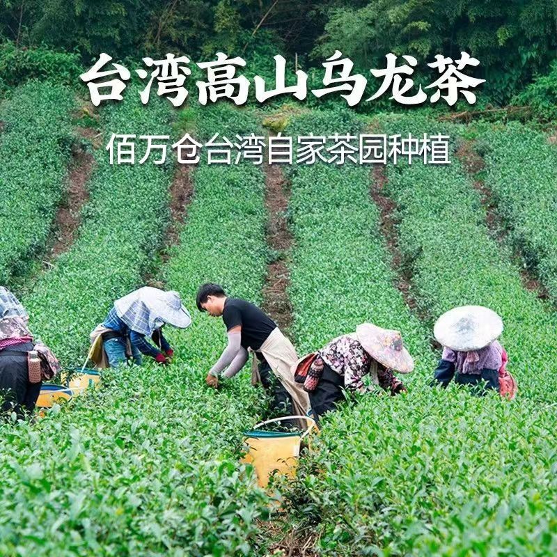 Cold Brew Strong Aroma Dong Ding Oolong Tea, Authentic Taiwan, 250g Bag