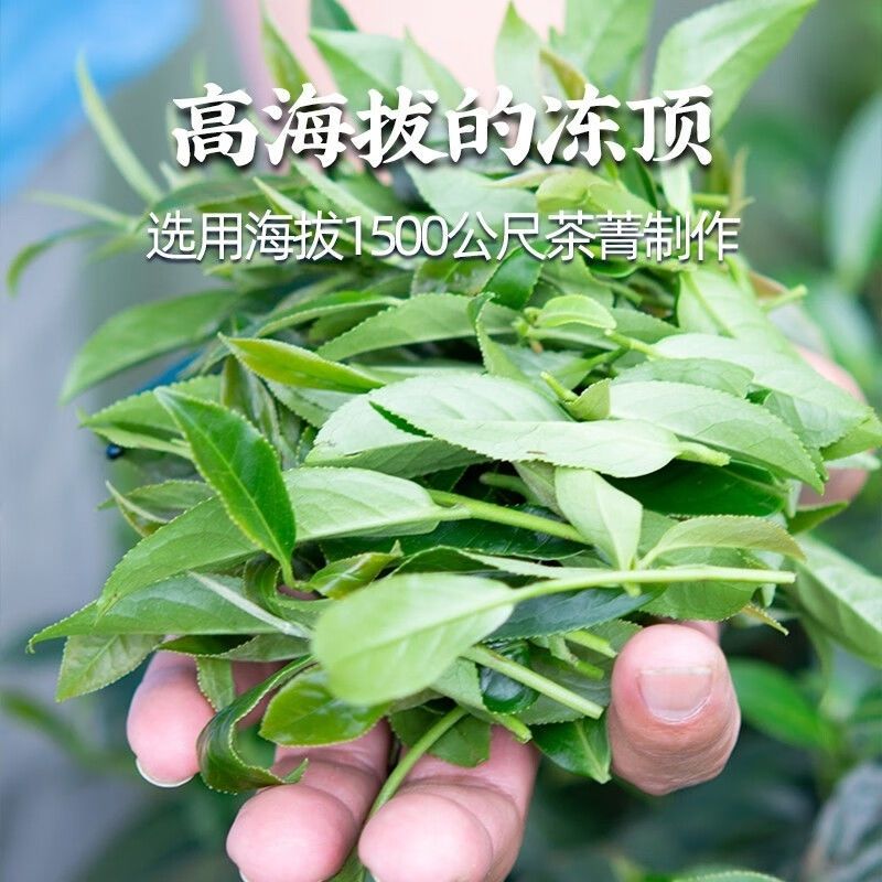 Cold Brew Strong Aroma Dong Ding Oolong Tea, Authentic Taiwan, 250g Bag