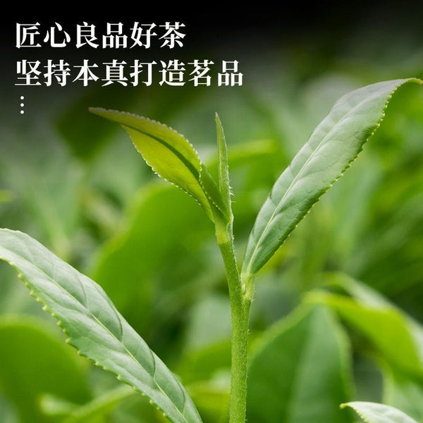 Authentic Taiwan Dong Ding Oolong Tea, 250g in Sealed Tin [Cold Brew, Strong Aroma]