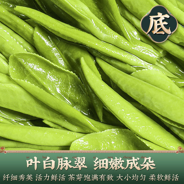 Premium Anji White Tea Spring  Strong Aroma Type（3.53oz）