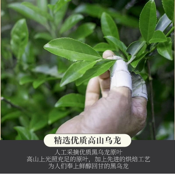 Authentic Taiwan Osmanthus Dark Oolong Tea - 250g Sealed Bag, Strong Aroma, For Cold Brew