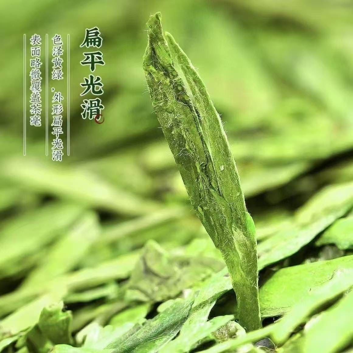 9A Superfine Dragon Well Long Jing Green Tea(8.82oz）