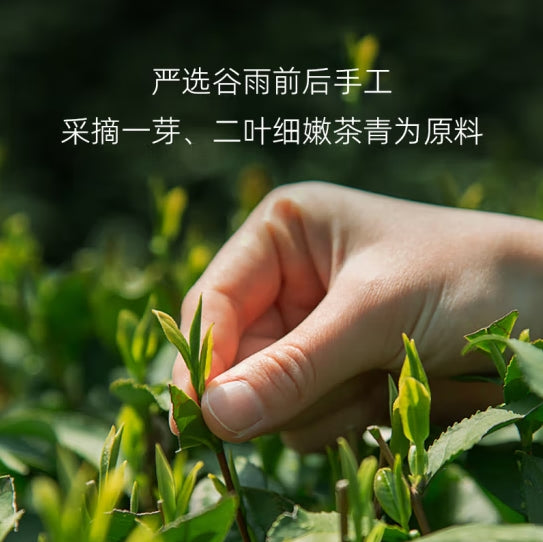 Baishaxi Tea Gift Box 256g (8g * 32)/box Health-Preserving Tea