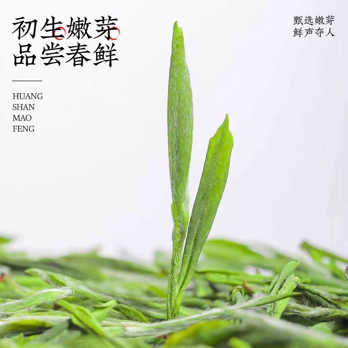 Premium Mount Huangshan MAO FENG （3.53oz）rich aroma