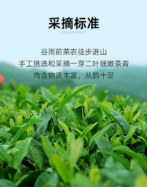 Health-Preserving Tea Baishaxi Aged Gift Box 256g (8g * 32)/box