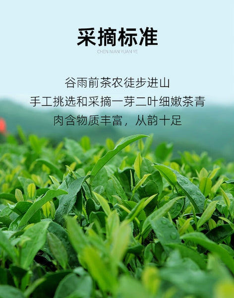 Health-Preserving Tea Baishaxi Aged Gift Box 256g (8g * 32)/box