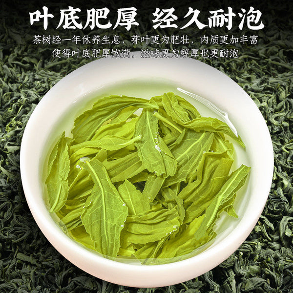 Mao Jian Green （spring tea）fragrance （3.53oz）