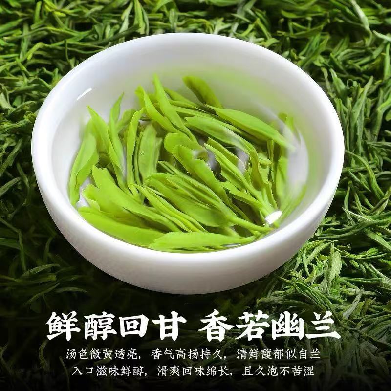 Premium Mount Huangshan MAO FENG （3.53oz）rich aroma