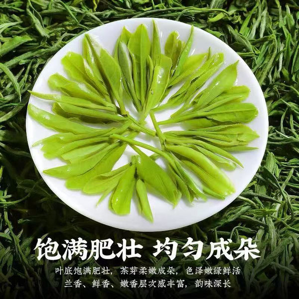 Premium Mount Huangshan MAO FENG （3.53oz）rich aroma