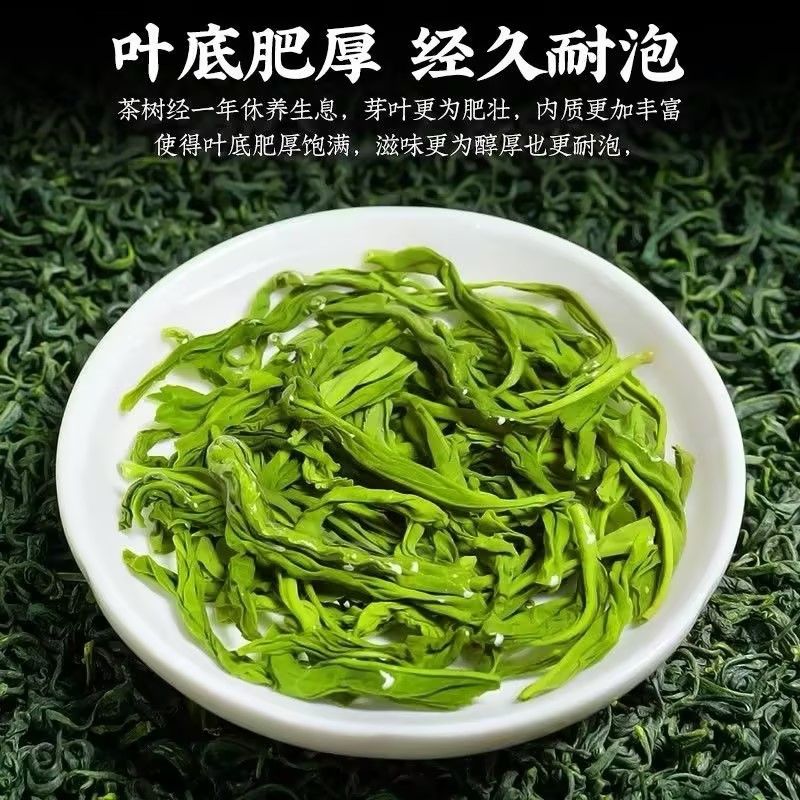 Mao Jian Green （spring tea）fragrance （3.53oz）